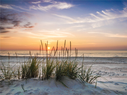 Sunset over the water